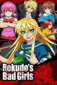 Rokudo’s Bad Girls English Subbed