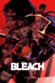 Bleach English Dubbed